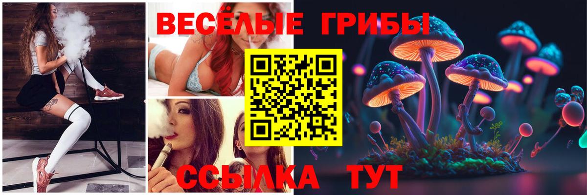 купить закладку  Псилоцибиновые грибы мухоморы  Вход с VPN  Новоалтайск 
