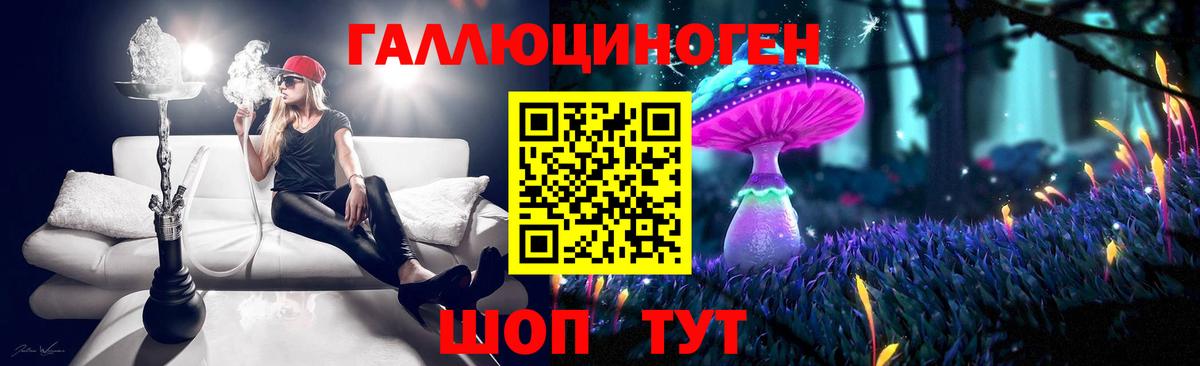 Псилоцибиновые грибы Psilocybine cubensis Новоалтайск